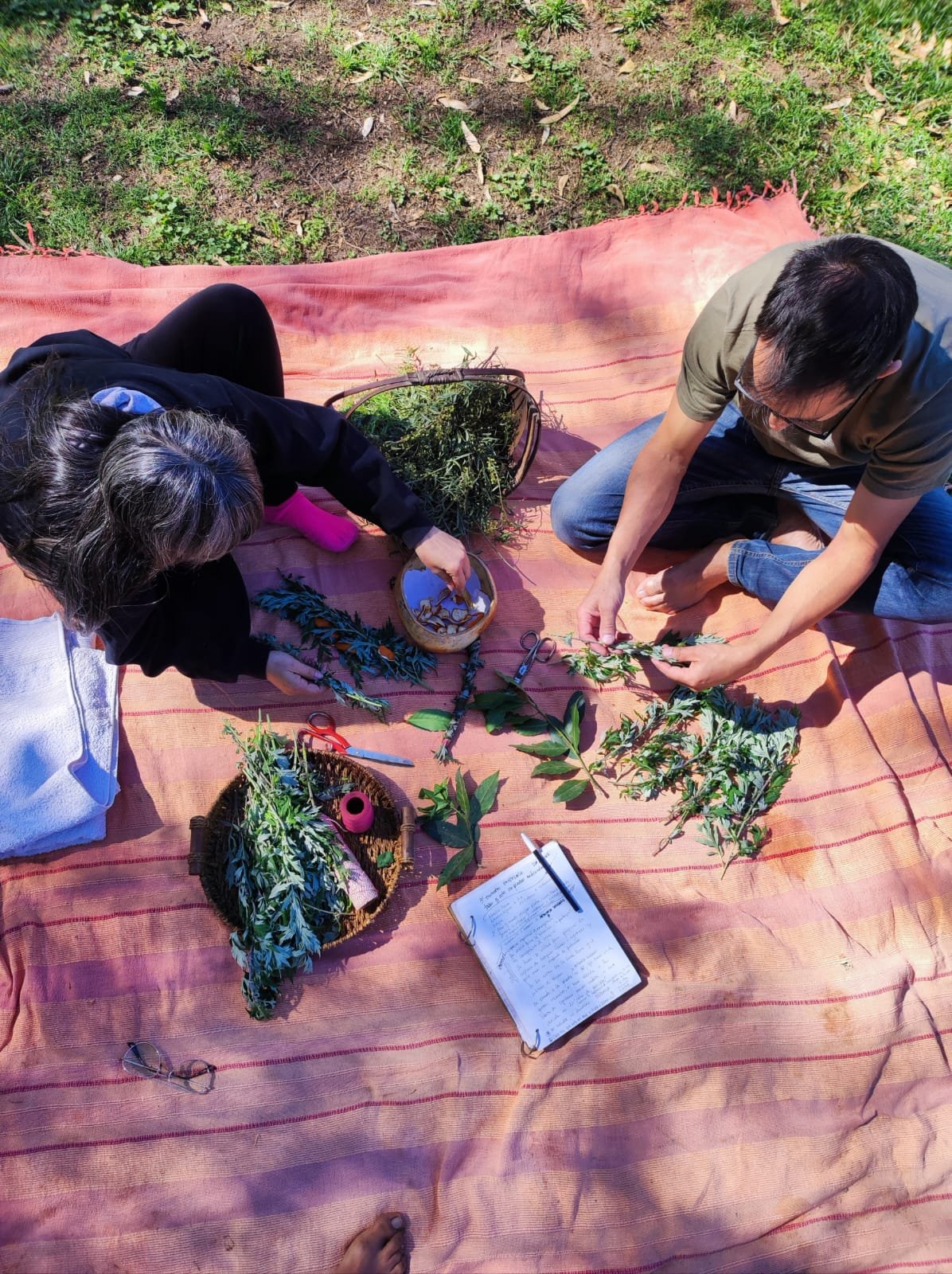 Grupo, Trabajo, Alumnos, Estudio, Investigación, Herbolaria, Plantas, Medicina natural, Curso, Taller, Taller de Herbolaria, Aprendizaje