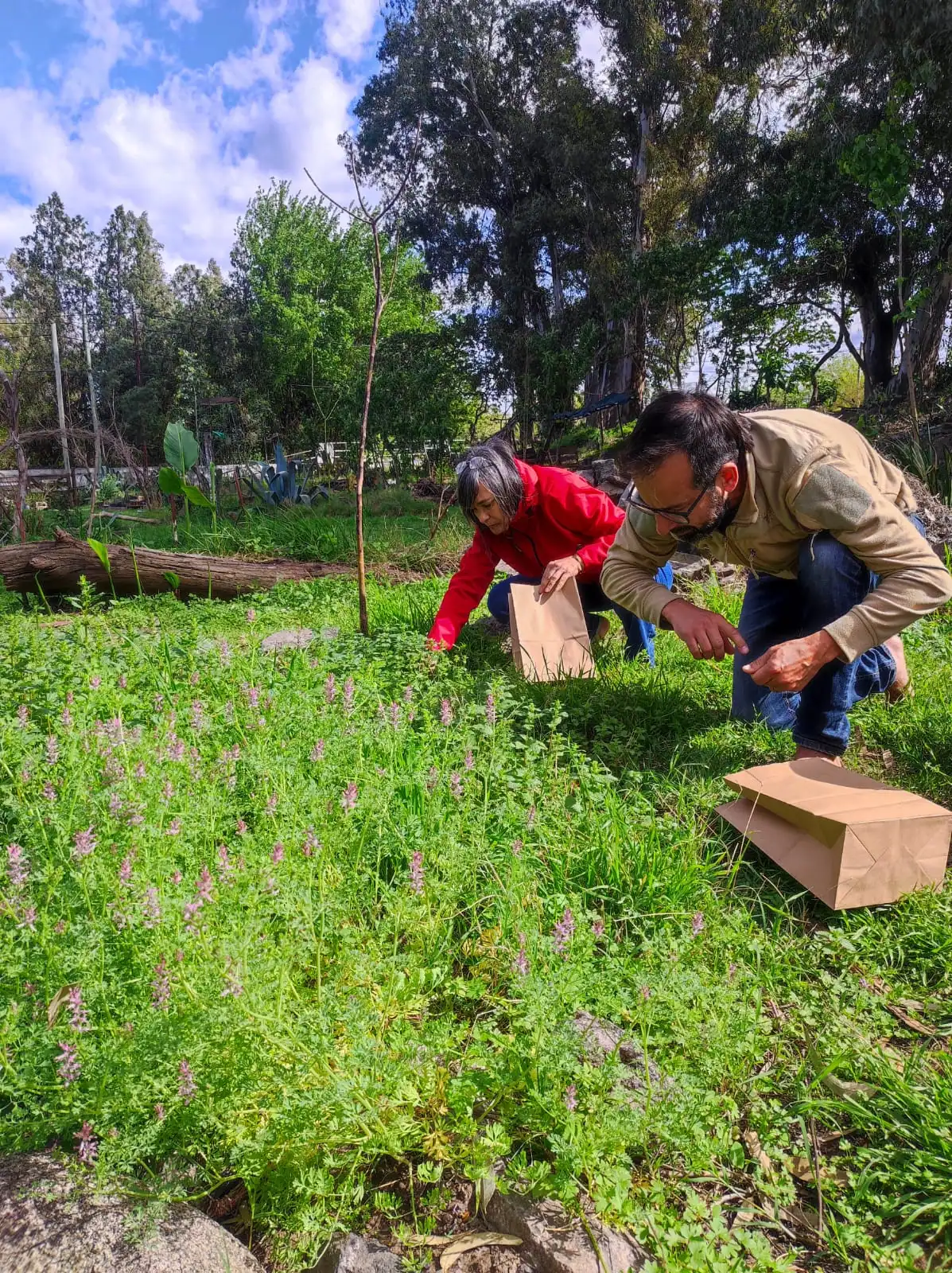 Taller de Herbolaria, Grupo, Alumnos, Educación, Taller, Herbolaria, Plantas, Medicina Natural, Naturaleza